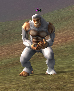 Yeti
