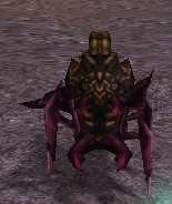 Catastrophic Megalopa